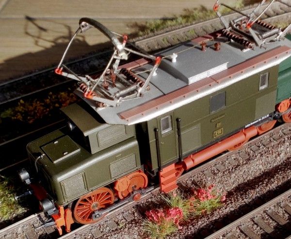 EP 219 Braune Variante
